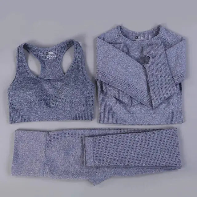 2/3PCS Seamless Women Workout Sportswear