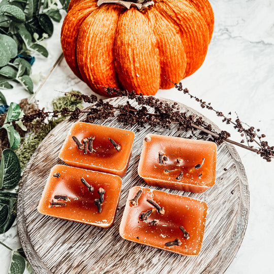 Fall Clove XL Natural Wax Melts 4 Cubes Spicy Cinnamon Clove Autumn Scent