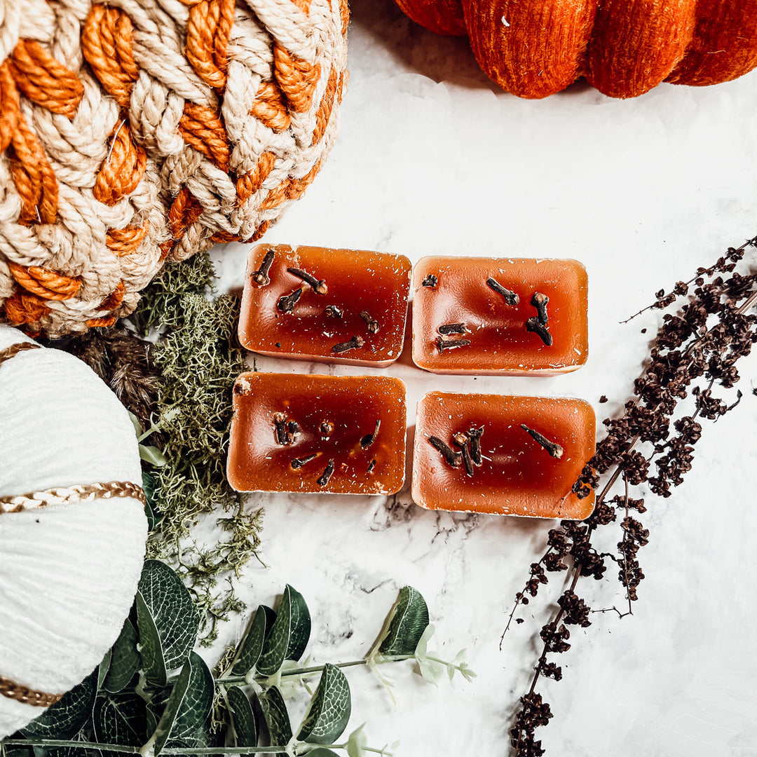 Fall Clove XL Natural Wax Melts 4 Cubes Spicy Cinnamon Clove Autumn Scent
