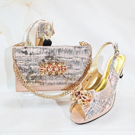Charming Shoes And Bag Matching Set HN1-1