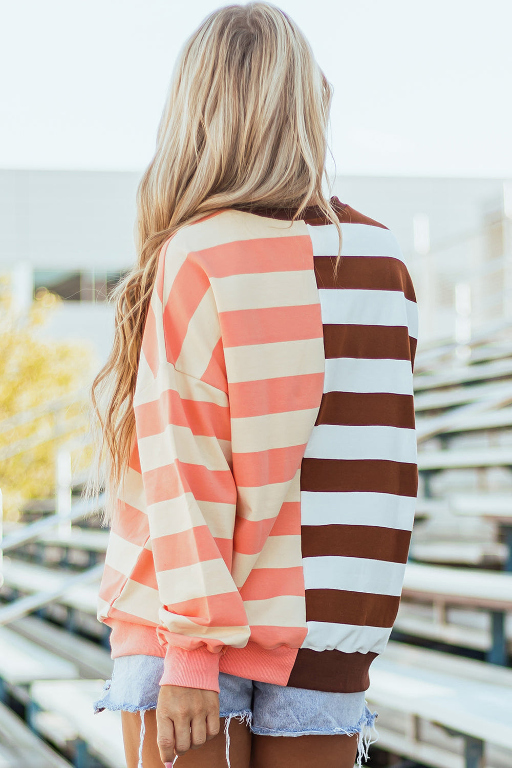 Stripe Colorblock Drop Shoulder Crewneck Sweatshirt